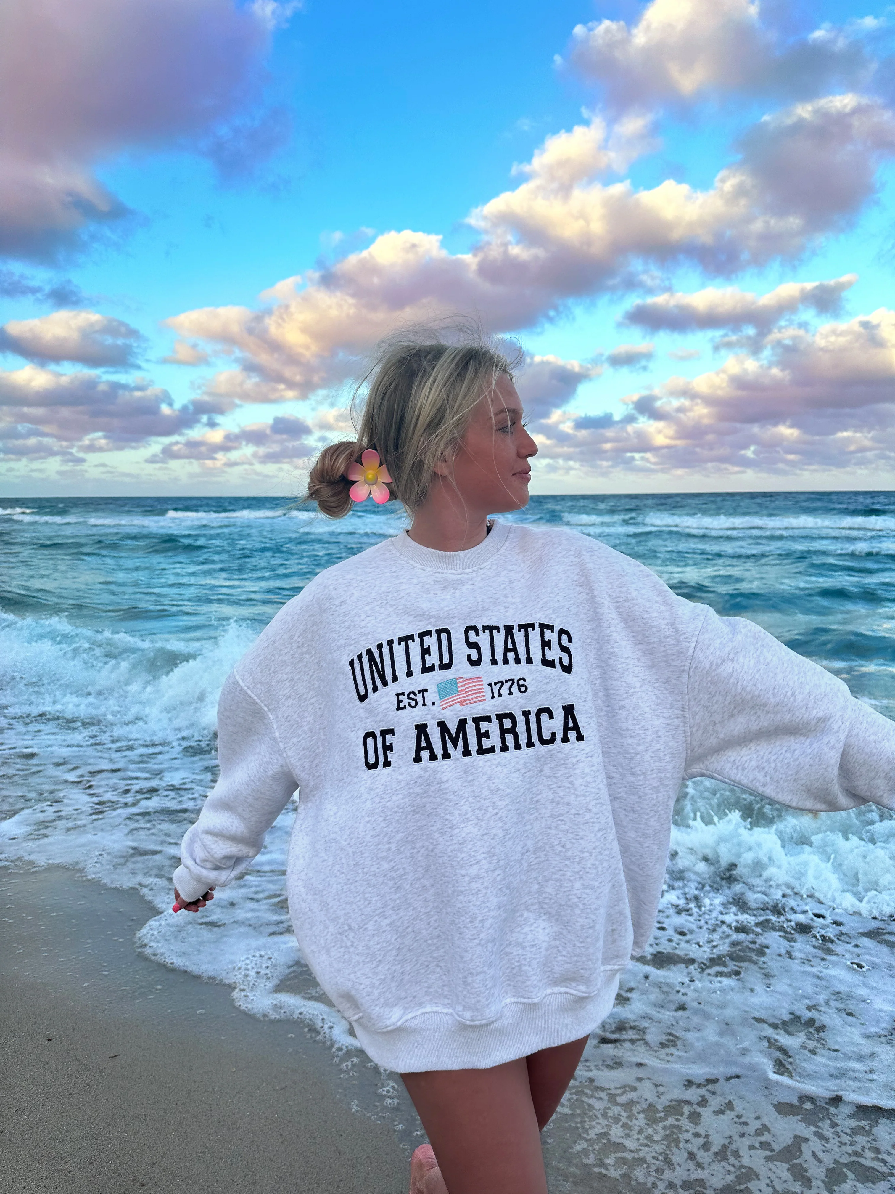 Pearl Grey United States Of America Embroider Flag Sweatshirt
